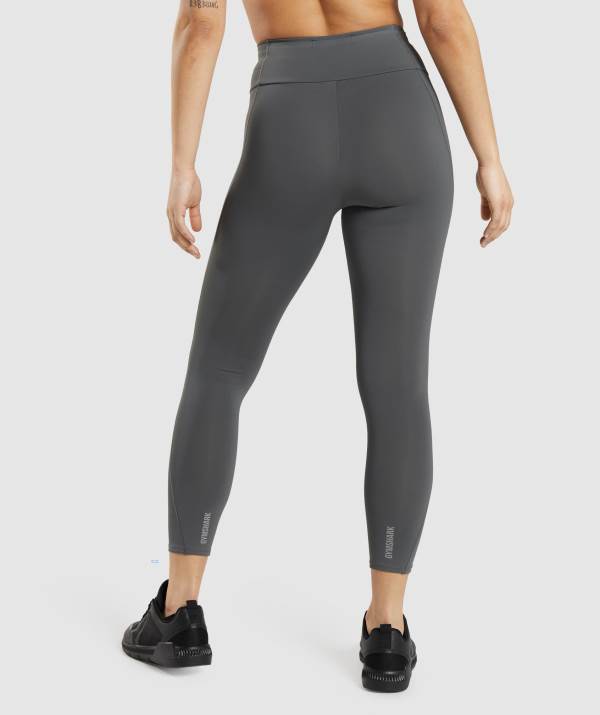 Damske Legíny Gymshark Speed Siva Siva | MH7109236